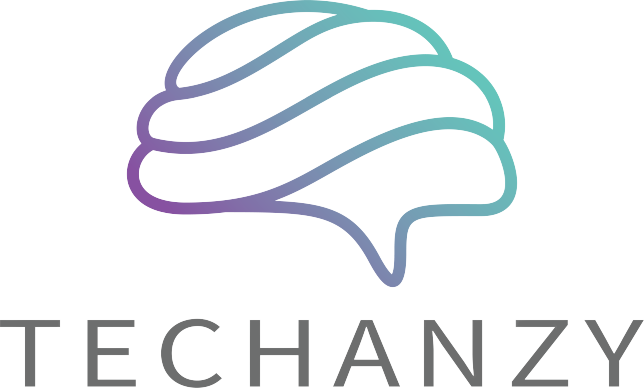 Techanzy | Outsourced IT Support Services and Custom Software Development Company